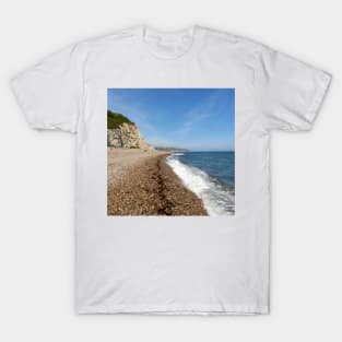 Beer, Devon T-Shirt